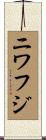 ニワフジ Scroll