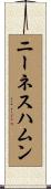 ニーネスハムン Scroll