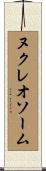 ヌクレオソーム Scroll