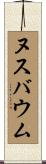 Nussbaum Scroll