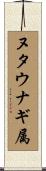 ヌタウナギ属 Scroll