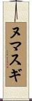ヌマスギ Scroll