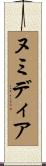 ヌミディア Scroll