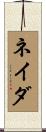ネイダ Scroll