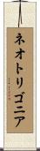 ネオトリゴニア Scroll