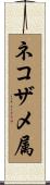 ネコザメ属 Scroll