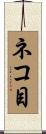 ネコ目 Scroll