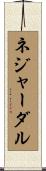 ネジャーダル Scroll
