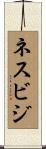 ネスビジ Scroll