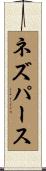 ネズ・パース Scroll