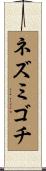 ネズミゴチ Scroll