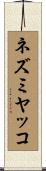 ネズミヤッコ Scroll