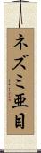 ネズミ亜目 Scroll