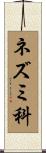 ネズミ科 Scroll