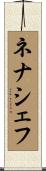 ネナシェフ Scroll