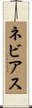 ネビアス Scroll