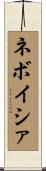 ネボイシァ Scroll