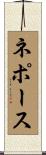 ネポース Scroll