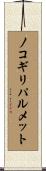 ノコギリパルメット Scroll