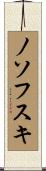 ノソフスキ Scroll