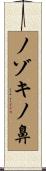 ノゾキノ鼻 Scroll