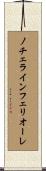 ノチェラインフェリオーレ Scroll
