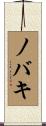 ノバキ Scroll