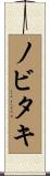 ノビタキ Scroll