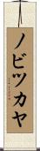 ノビツカヤ Scroll