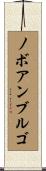 ノボアンブルゴ Scroll