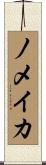 ノメイカ Scroll