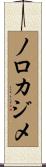 ノロカジメ Scroll
