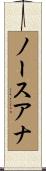 ノースアナ Scroll