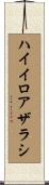 ハイイロアザラシ Scroll