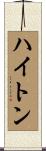 ハイトン Scroll