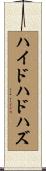 ハイドハドハズ Scroll