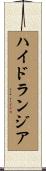 ハイドランジア Scroll