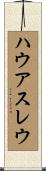 ハウアスレウ Scroll