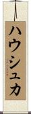 ハウシュカ Scroll