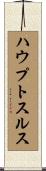 ハウプトスルス Scroll
