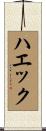 ハエック Scroll