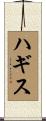 ハギス Scroll