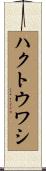 ハクトウワシ Scroll