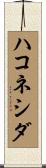 ハコネシダ Scroll