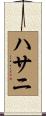 ハサニ Scroll