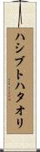 ハシブトハタオリ Scroll