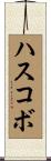 ハスコボ Scroll