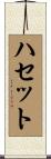 ハセット Scroll