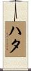 ハタ Scroll