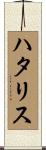 ハタリス Scroll